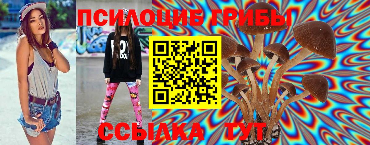Орёл  Галлюциногенные грибы Psilocybe  Вход с VPN 