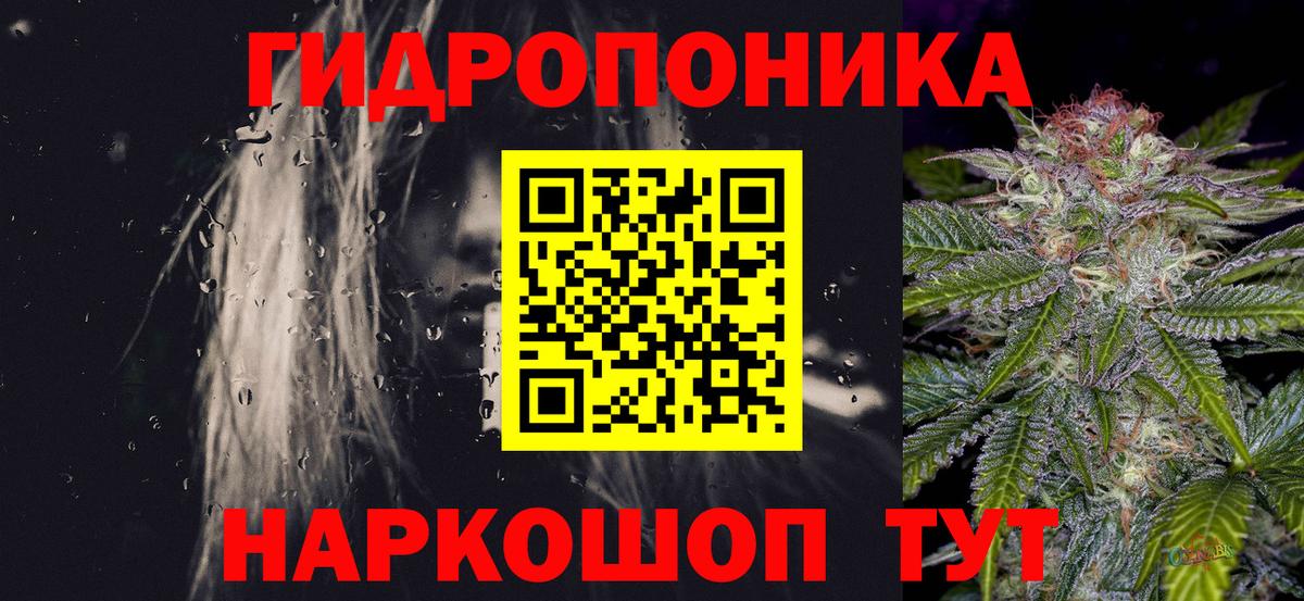 Конопля гибрид Орёл